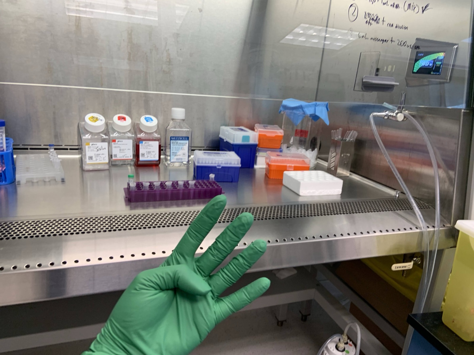 A biosafety cabinet prepared for lab work
